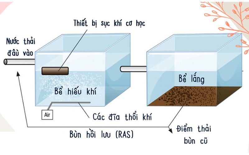 Bùn vi sinh hiếu khí trong xử lý nước thải 
