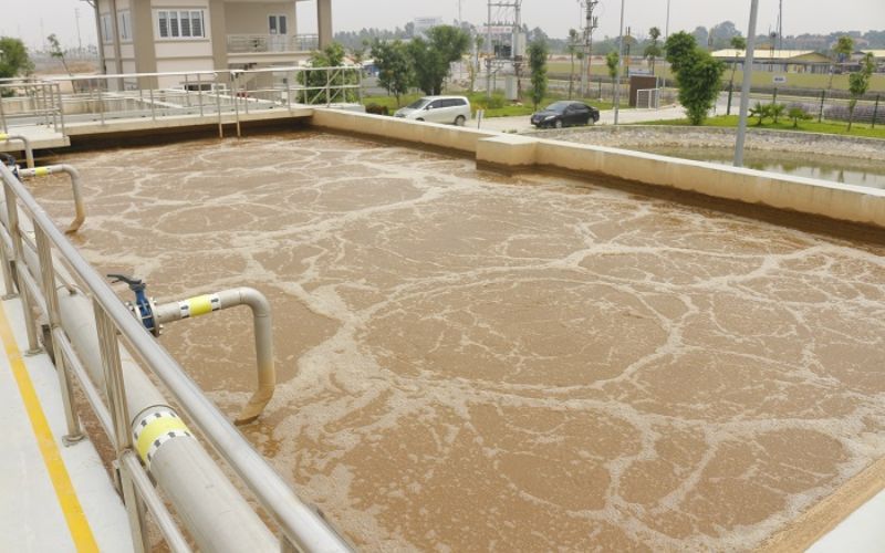 Bùn vi sinh thiếu khí trong xử lý nước thải 