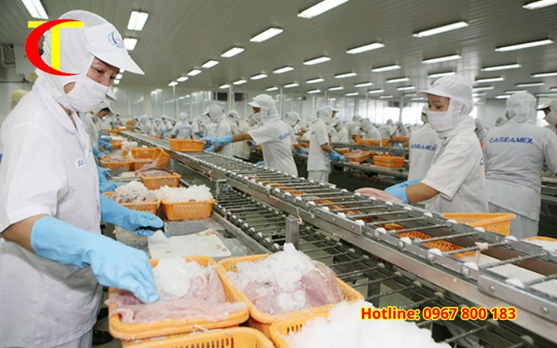 Thiết kế và thi công phòng sạch thực phẩm: Giải pháp tối ưu cho ngành sản xuất hiện đại thiết kế và thi công phòng sạch thực phẩm